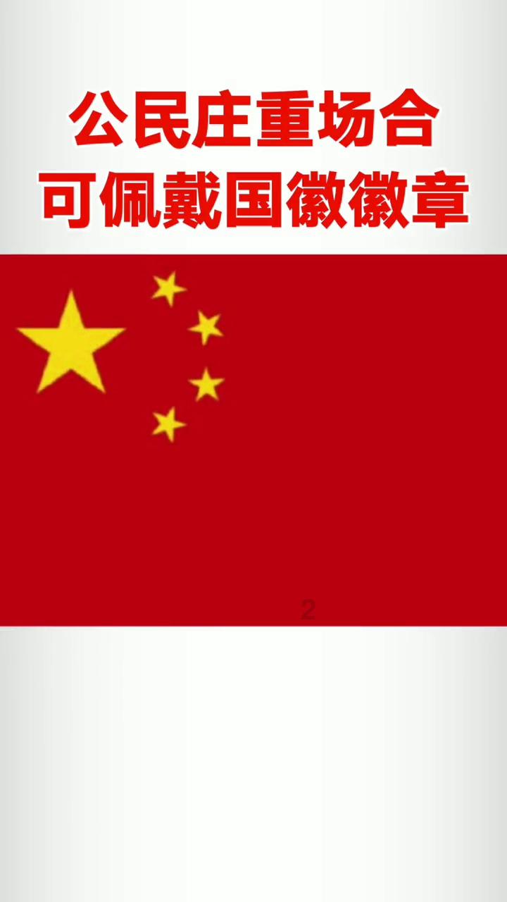 泡沫森林
